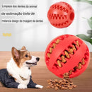 Brinquedo de Borracha comedouro e limpa dentes para cães
