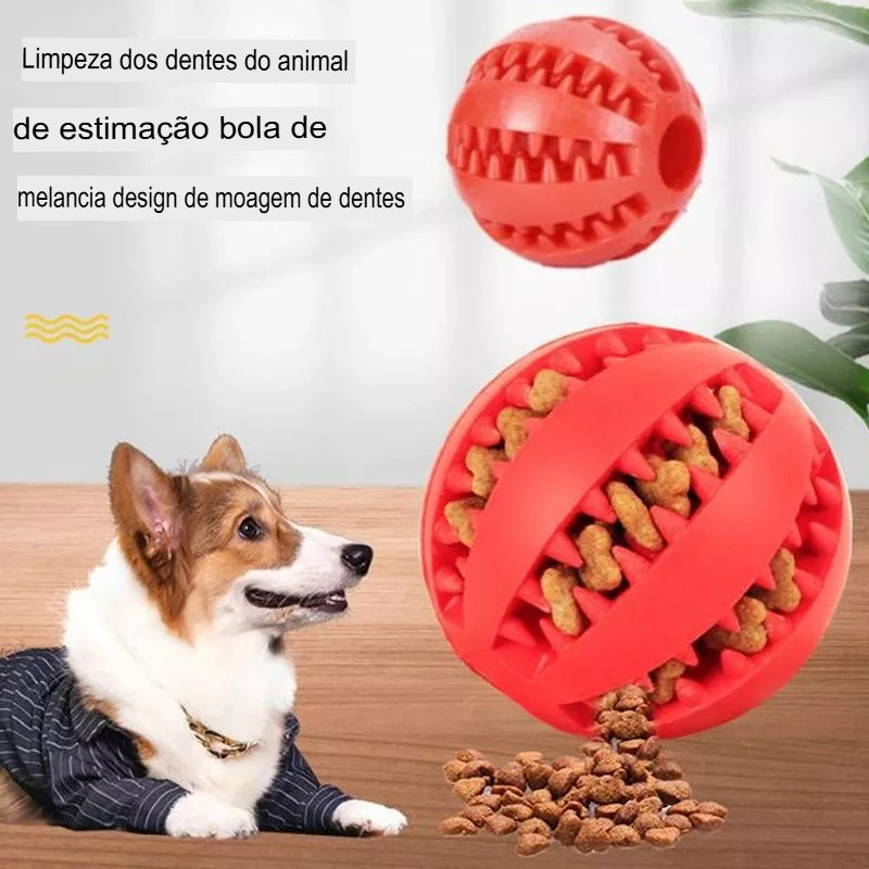 Brinquedo de Borracha comedouro e limpa dentes para cães